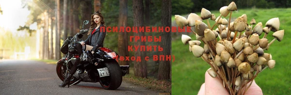 мяу мяу кристалл Новокубанск