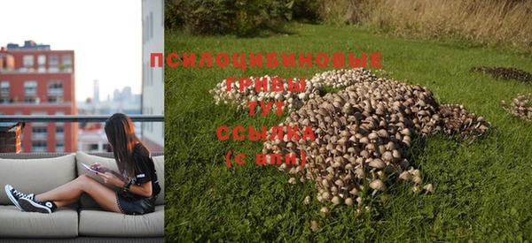мяу мяу кристалл Новокубанск
