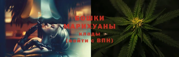 PSILOCYBIN Нея