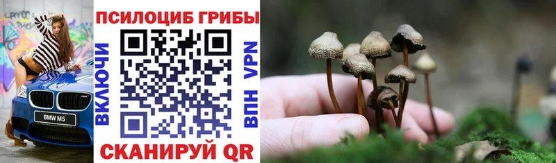 Псилоцибиновые грибы Magic Shrooms  Отрадное 