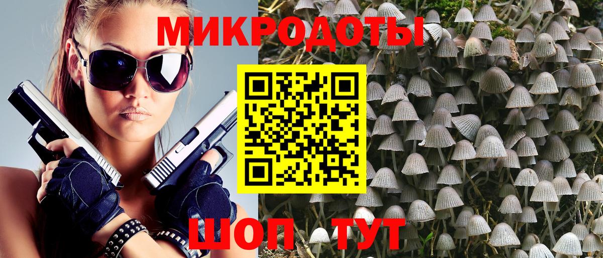 Псилоцибиновые грибы мицелий Отрадное