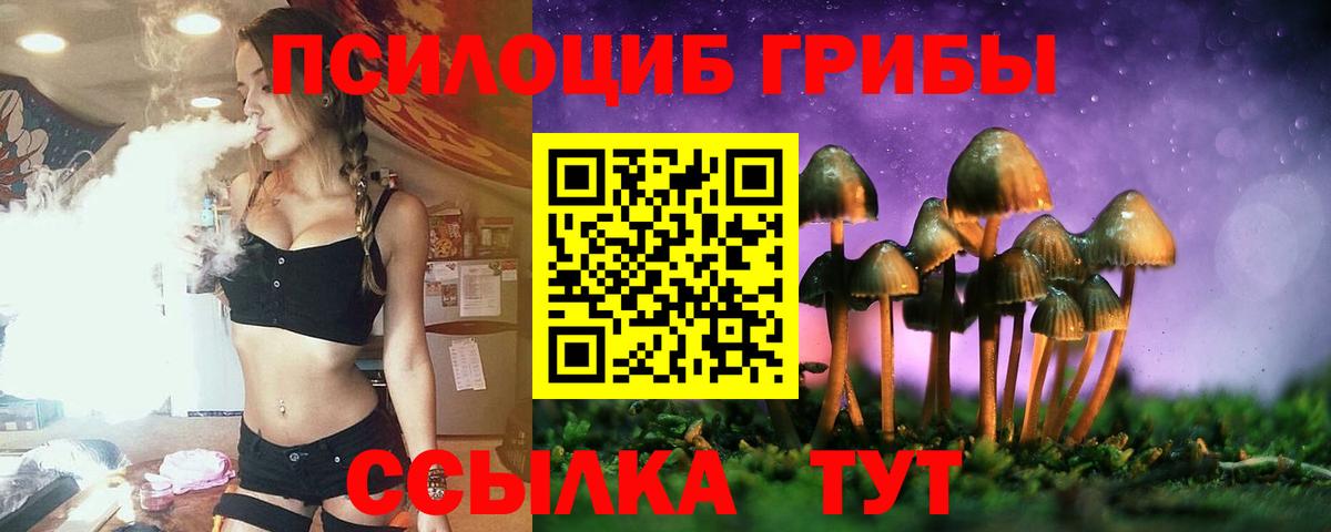 Галлюциногенные грибы Psilocybe  Вход с VPN  Отрадное  Псилоцибиновые грибы Psilocybe 